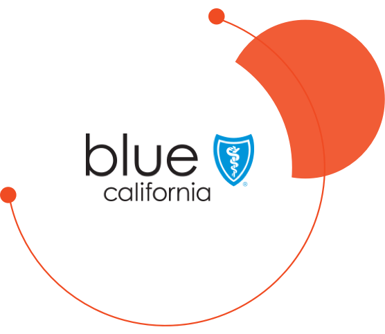blue_shiled_logo_circle