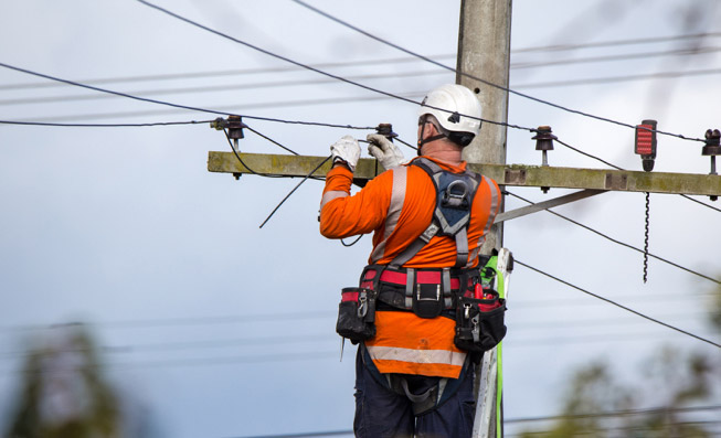 hawaiian_image_small-